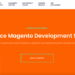 Top Magento Development Companies And Experts | REVERB