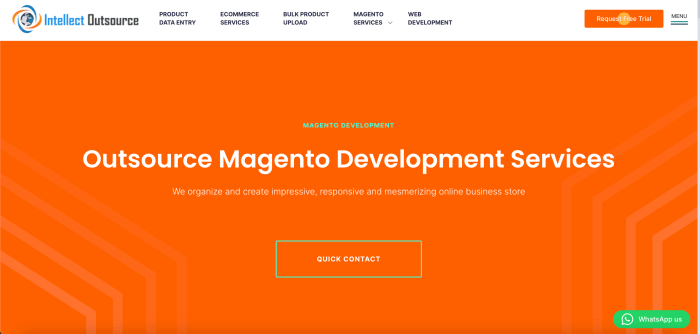 Top Magento Development Companies And Experts | REVERB