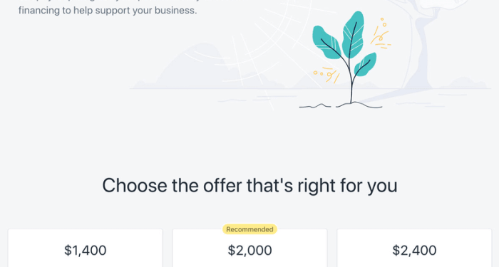 Shopify Capital Review 2022: How It Works, Rates, and More