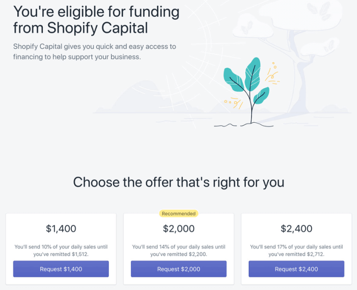 Shopify Capital: Everything You Need to Know (2024)